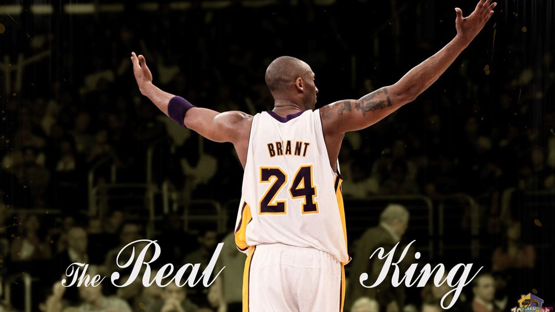 _湖人再创佳绩，连胜纪录继续延续_，湖人获胜